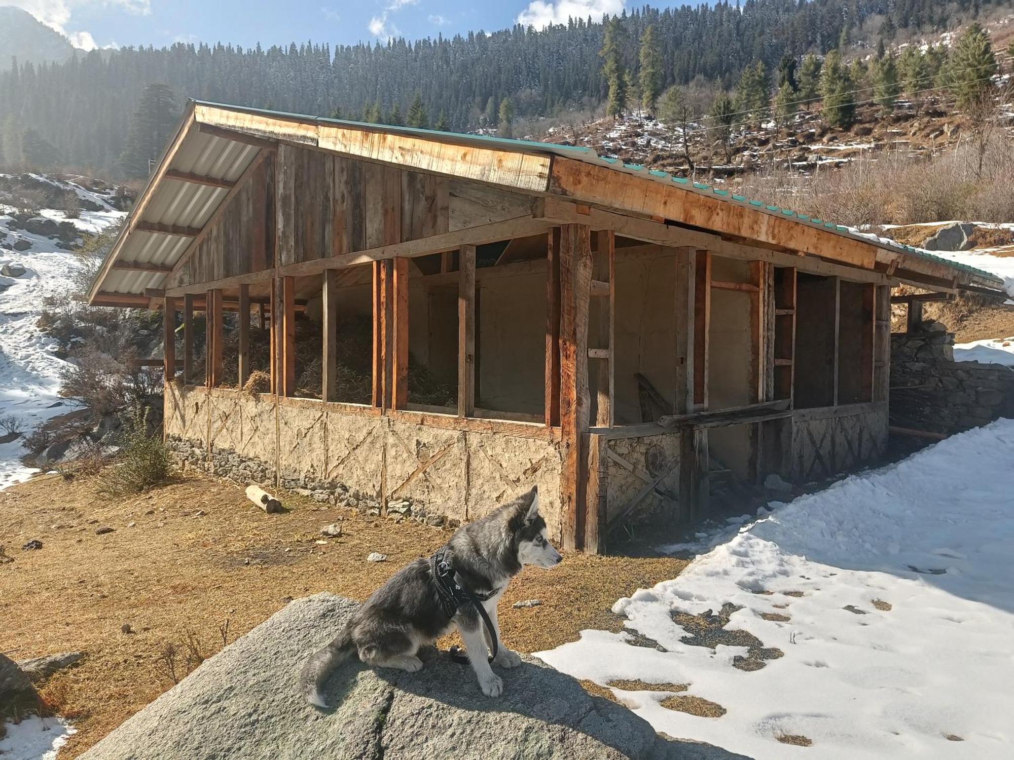 Trimounts-A Boutique Hotel & Wellnes Center In Tirthan Valley Banjār Esterno foto
