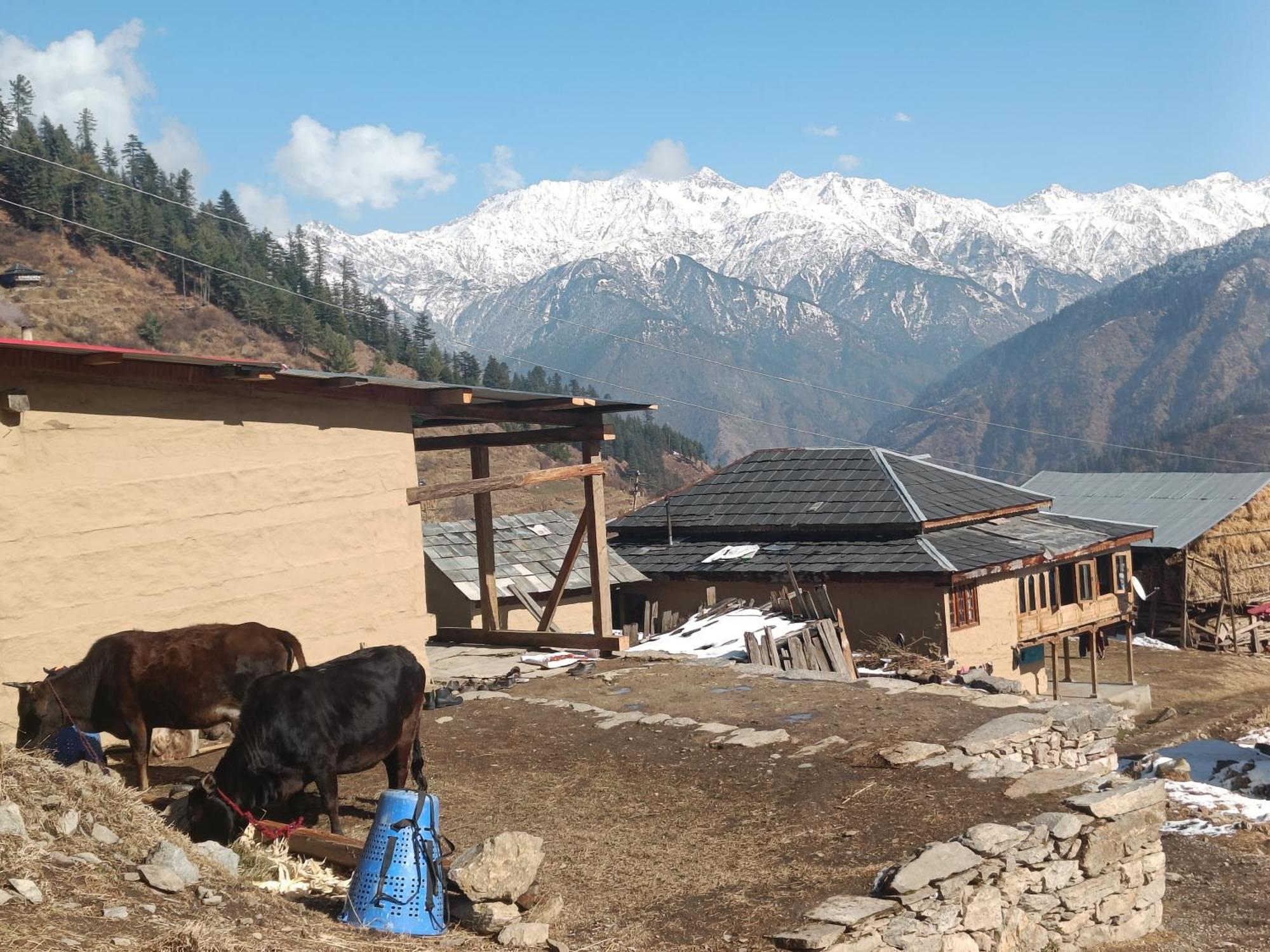 Trimounts-A Boutique Hotel & Wellnes Center In Tirthan Valley Banjār Esterno foto