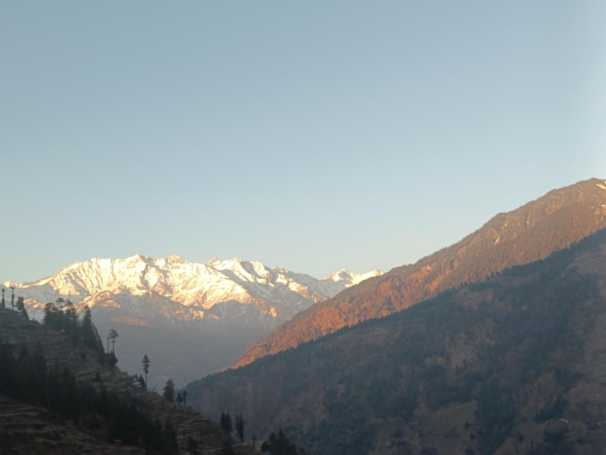 Trimounts-A Boutique Hotel & Wellnes Center In Tirthan Valley Banjār Esterno foto