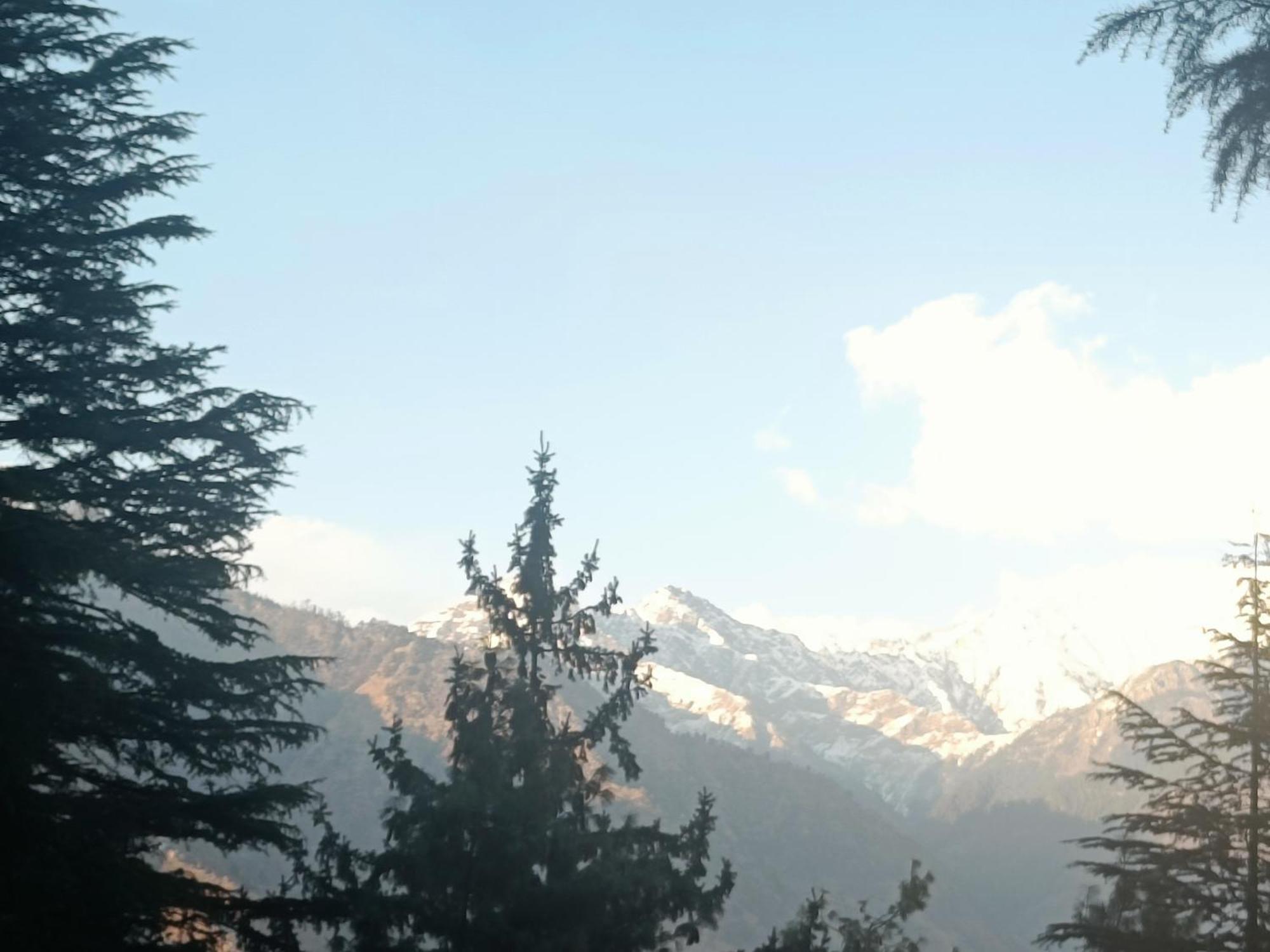 Trimounts-A Boutique Hotel & Wellnes Center In Tirthan Valley Banjār Esterno foto